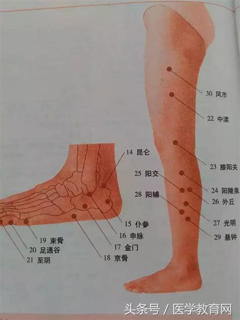 人體有多少穴位